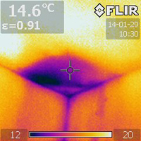 Thermal imaging indicates there's insulation missing in the 
attic.